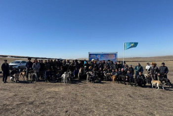 Фотография к новости: Казахские тазы устроили захватывающие гонки в Темиртау