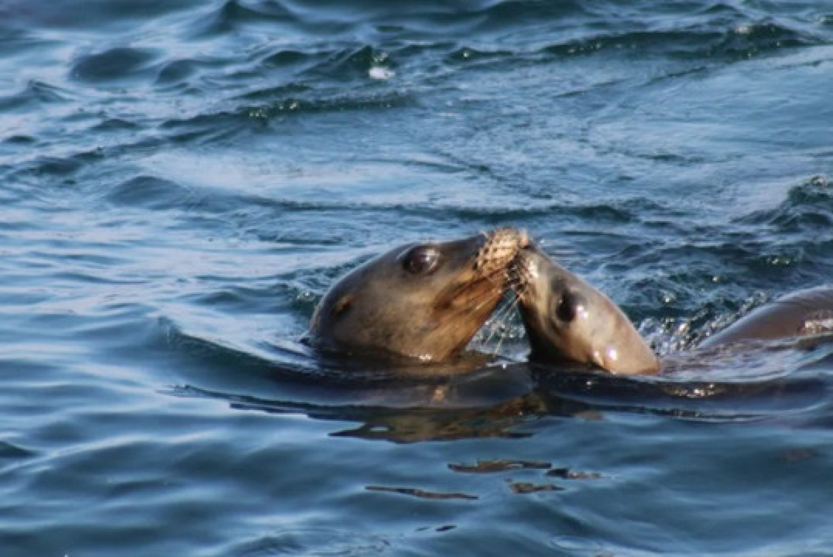 © pexels.com/Daniel Lee