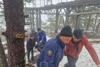 Мужчина упал в ущелье в Щучинске