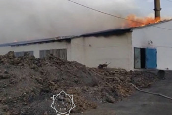 Фотография к новости: Птицефабрика горела в Карагандинской области