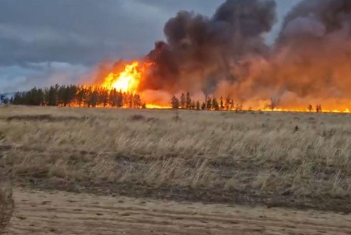 Крупный степной пожар тушат в Павлодарской области