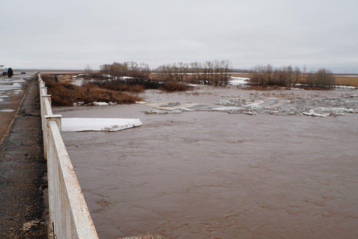Паводки-2025: Акмолинцев оперативно переселили в безопасные районы