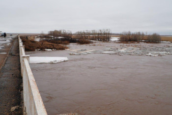 Фотография к новости: Паводки-2025: Акмолинцев оперативно переселили в безопасные районы