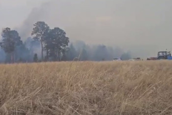 Фотография к новости: Появились видеокадры с места пожара в "Семей орманы"