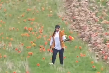 Любительнице тюльпанов грозит штраф в 12 миллионов тенге