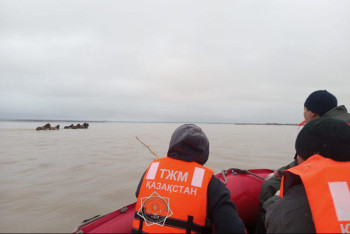 Фотография к новости: Паводки в Акмолинской области унесли лошадей