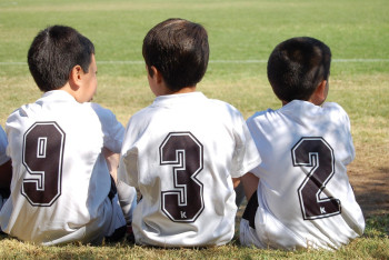 Махинации в программе ART Sport продолжаются:  Депутат предложил применять строгие санкции