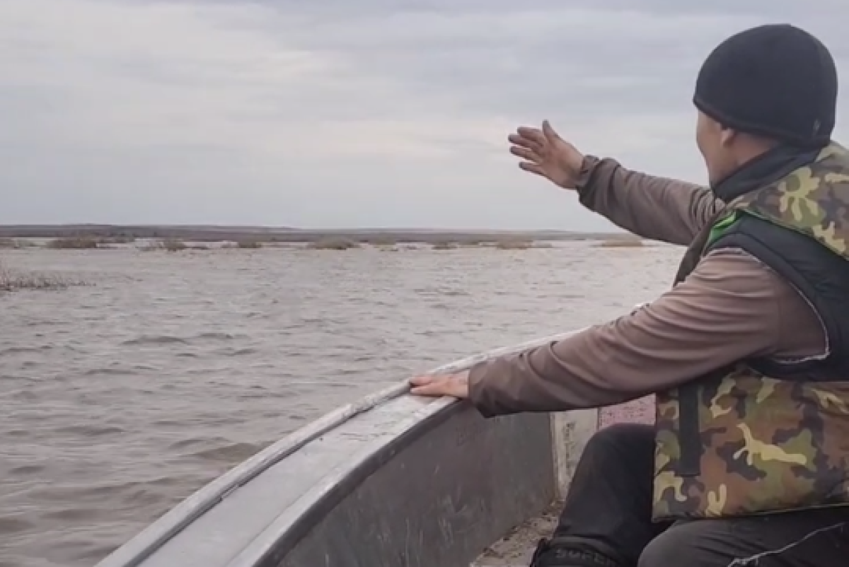 скриншот видео