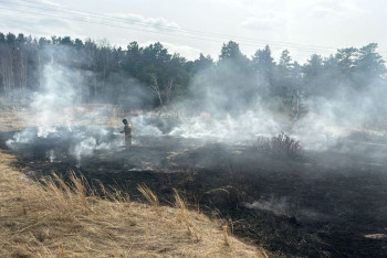 Степь горела сразу в трёх районах Акмолинской области