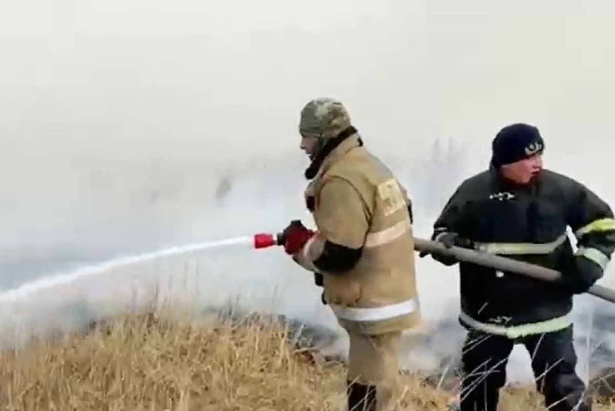 скриншот из видео