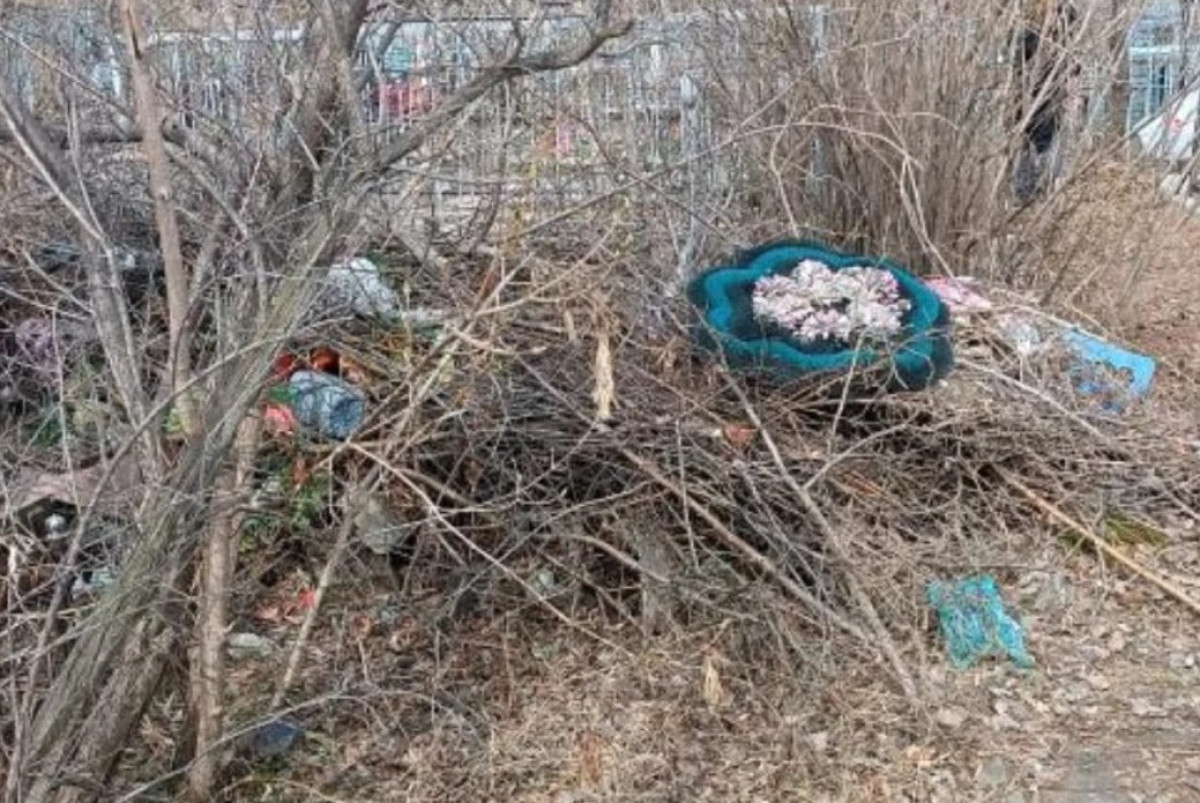 zhaloby.astana/Instagram