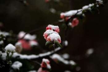 В Казахстане резко похолодает и выпадет снег
