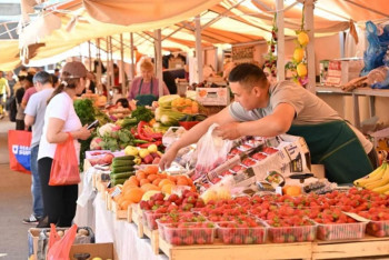 Фотография к новости: Очередная сельскохозяйственная ярмарка пройдёт в Алматы в эти выходные