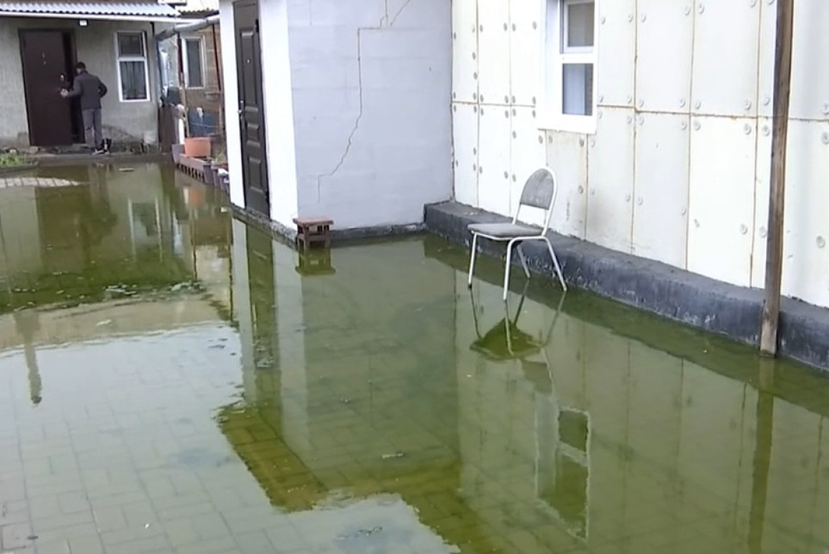 кадр из видео