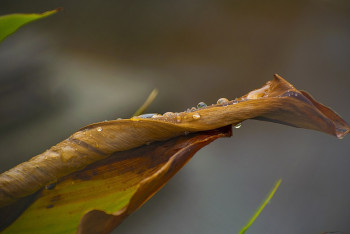 В 11 областях Казахстана объявлено штормовое предупреждение