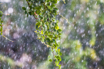 Фотография к новости: В Казахстане ожидаются дожди, снег и пыльные бури