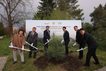 Казахстан и Южная Корея объединяются ради спасения лесов в Абайской области