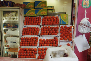 Праздничную сельскохозяйственную ярмарку проведут в Астане