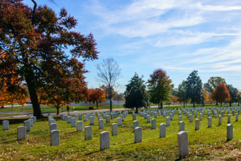 Фотография к новости: В Акмолинской области ищут авторов "кладбищенского граффити"