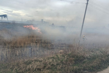 Фотография к новости: В Кокшетау, Степногорске и Бурабае потушили степные пожары