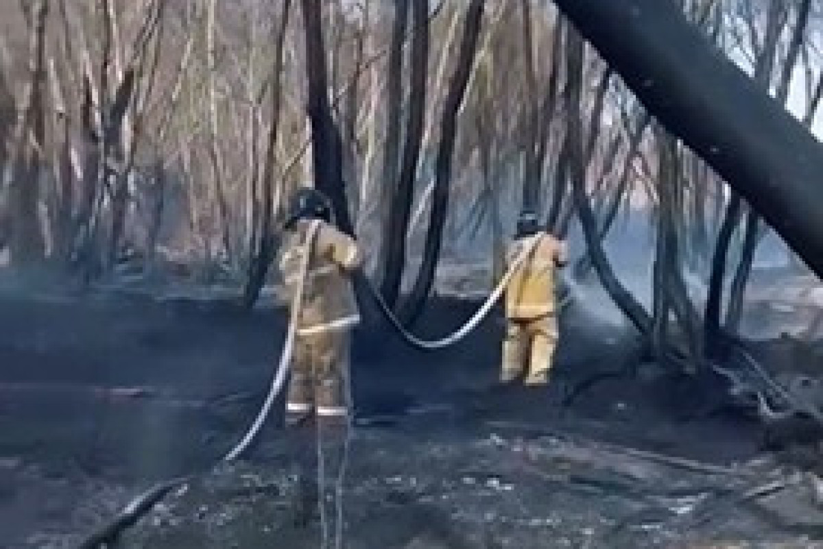 Крупный пожар в степи локализовали в Карагандинской области