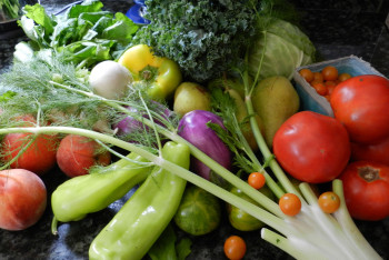 Фотография к новости: "Зелёный коридор" для ранних овощей открыли в Казахстане