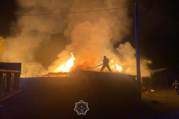 Фотография к новости: Десятки лошадей и овец чуть не сгорели заживо в Семее