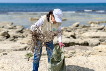 В День единства народа тысячи казахстанцев вышли на уборку и посадку деревьев
