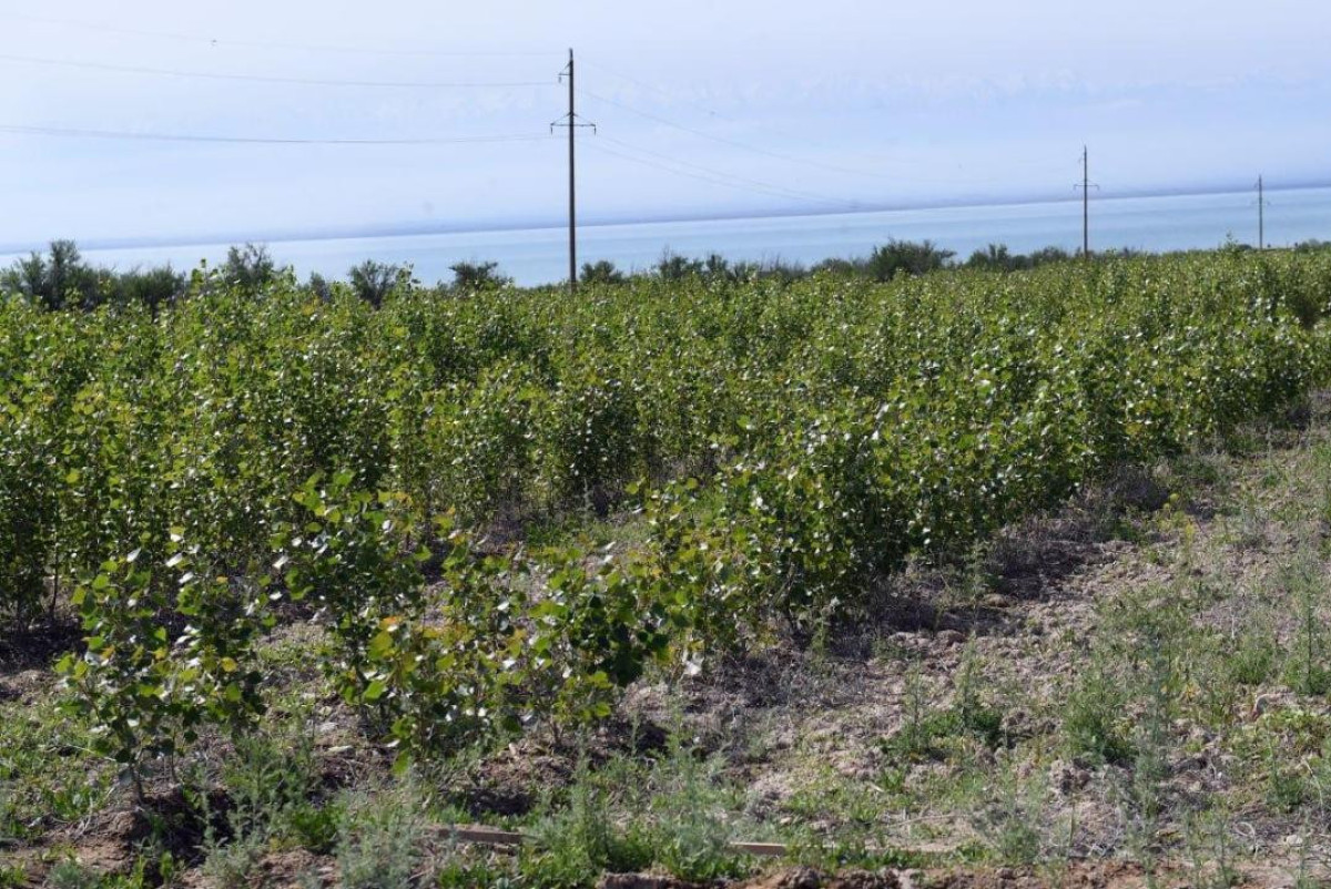 акимат Алматинской области