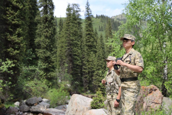 Фотография к новости: Через границу Казахстана пытались провести наркотики, оружие и миллиарды