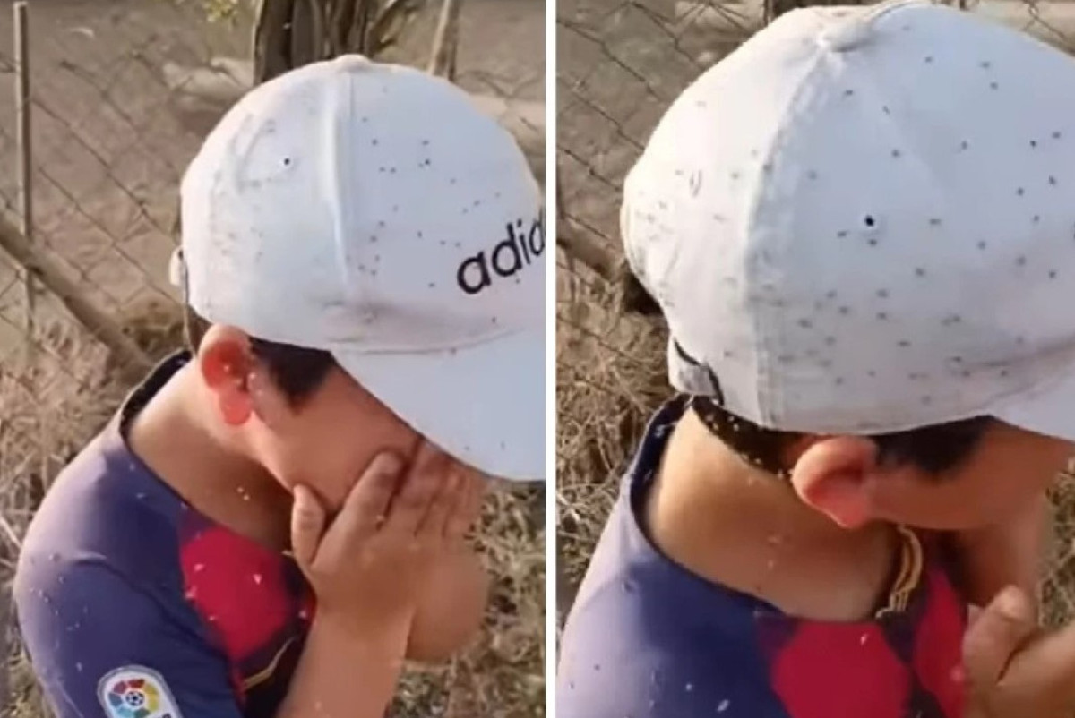 скриншот из видео