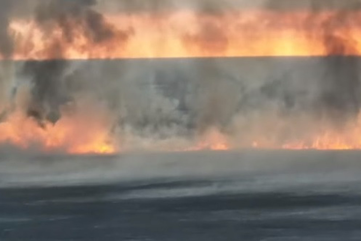 скриншот видео