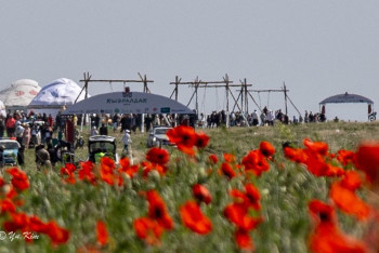 Фотография к новости: Уникальный геопарк с тюльпанами появится в Жамбылской области