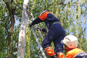 Фотография к новости: Напуганную кошку сняли спасатели с опоры электролинии в Таразе