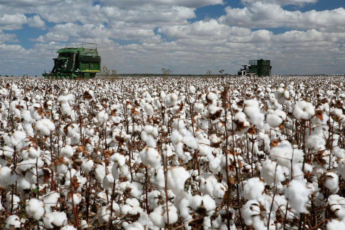 В Туркестанской области построят 10 заводов, удвоят урожай и сэкономят воду в 4 раза