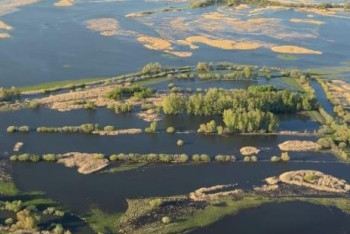 Фотография к новости: Паводковая вода покрыла до 90% пойменных земель в Павлодарской области