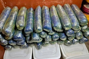 Канал наркоконтрабанды на миллионы долларов ликвидирован при участии КНБ Казахстана