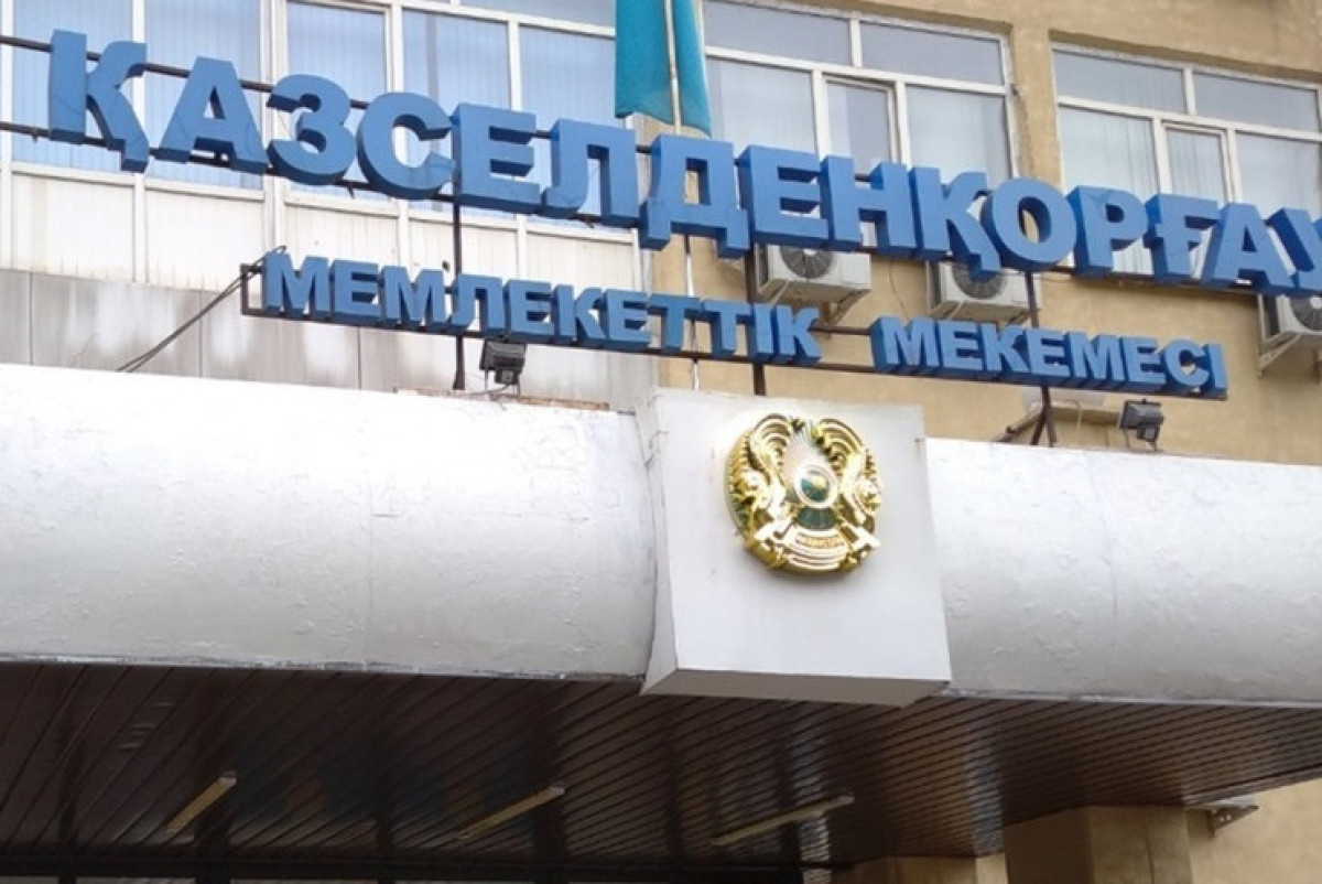 Казселезащита