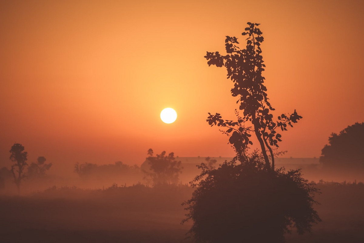 Unsplash