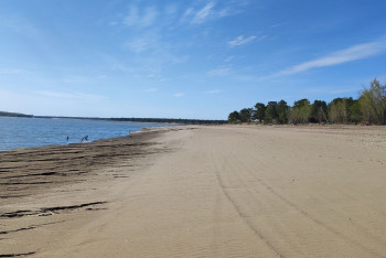Фотография к новости: Обратная сторона паводков: Как выглядит и что таит в себе дно Шульбинского водохранилища