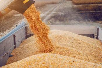 Фотография к новости: Аграрии получили более 6 млрд тенге аванса на посевную