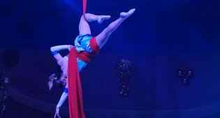 Гимнастка сорвалась с высоты во время циркового выступления в Астане