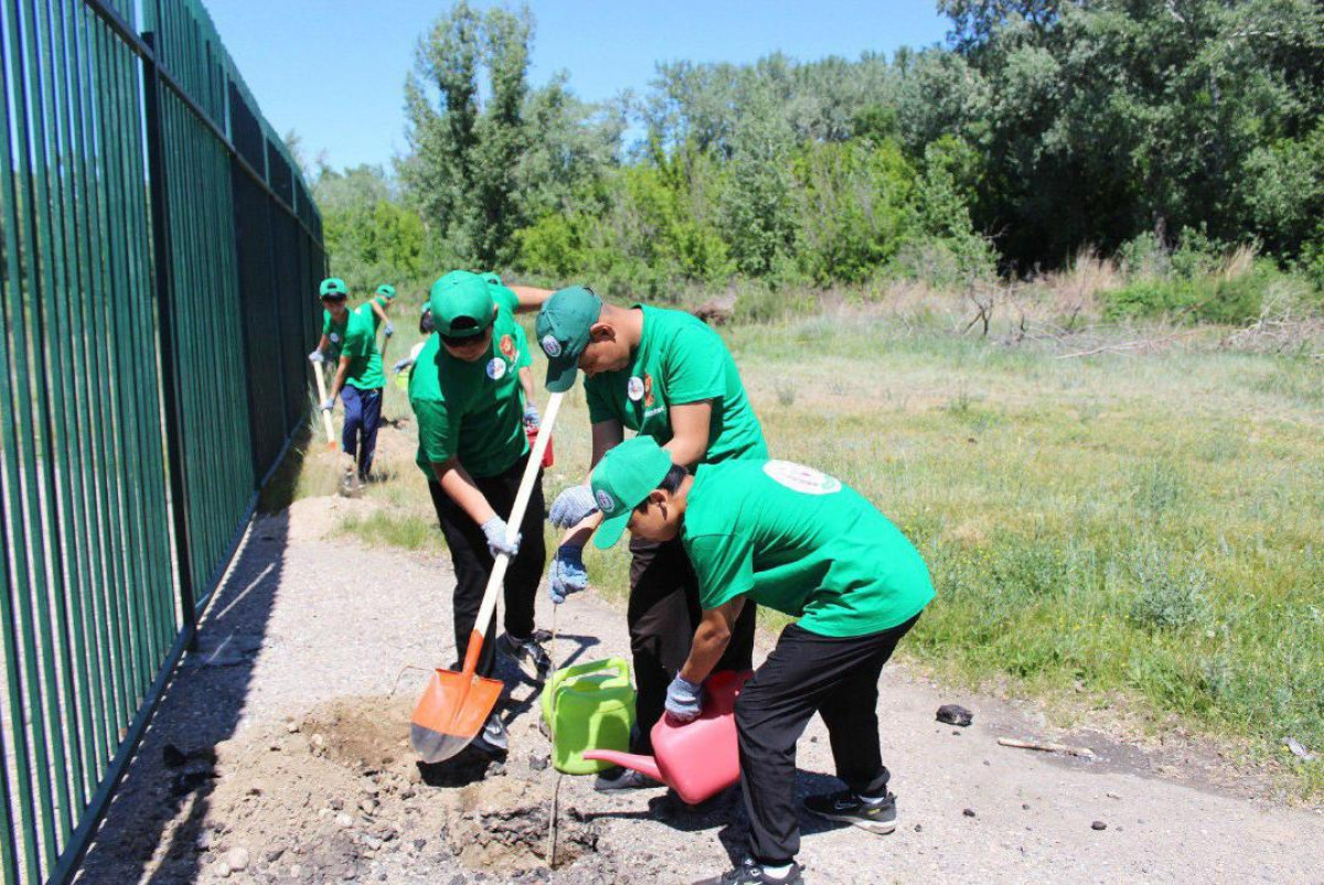 Акимат области Абай