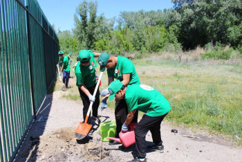 Экоакция в области Абай: дети высадили 80 деревьев