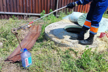 Фотография к новости: Пять змей поймали во дворе дома в Алматинской области