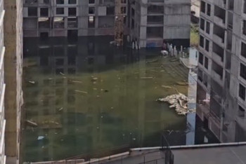 Крысы, утки и бобры: ЖК в Астане ушёл под воду