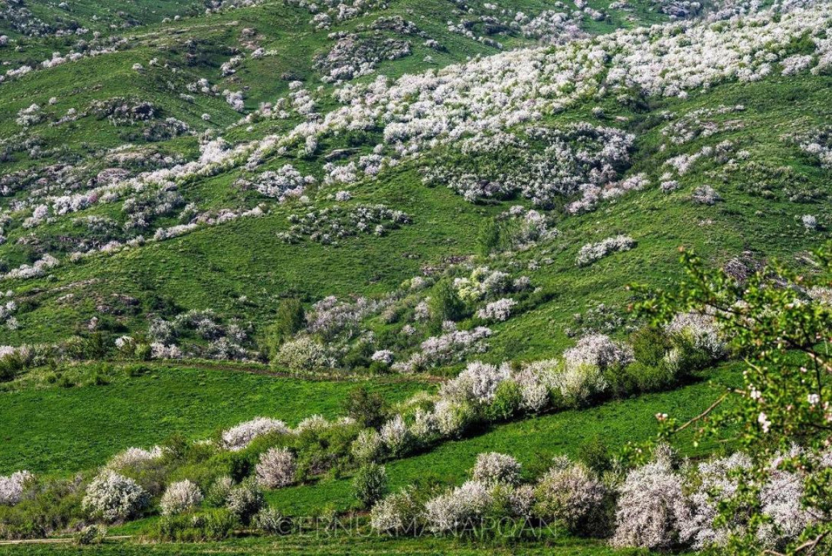 Ернұр Манапқан