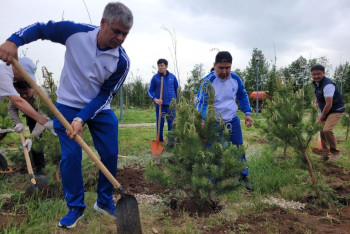 Фотография к новости: Ветераны МВД и спортсмены приняли участие в высадке сосен в столице