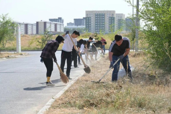 Молодежь Шымкента показала пример экологической ответственности
