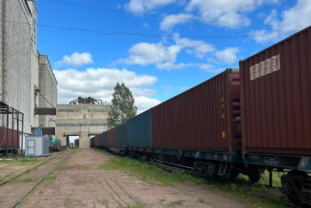 Фотография к новости: Казахстан возобновил экспорт пшеницы во Вьетнам после семилетнего перерыва